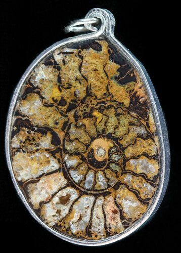 Moroccan Ammonite Fossil Pendant #58384